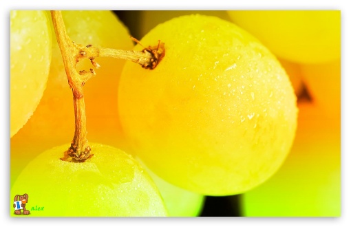 z024 UltraHD Wallpaper for Widescreen 16:10 ;