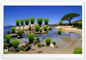 z051 4K UHD Wallpaper for Widescreen and UltraWide Desktop, UltraHD TV, Smartphone, Tablet