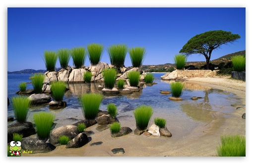 z051 UltraHD Wallpaper for Widescreen 16:10 ;