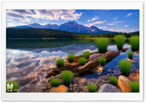 z053 4K UHD Wallpaper for Widescreen and UltraWide Desktop, UltraHD TV, Smartphone, Tablet