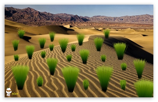 z055 UltraHD Wallpaper for Widescreen 16:10 ;