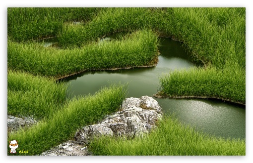 z070 UltraHD Wallpaper for Widescreen 16:10 ;