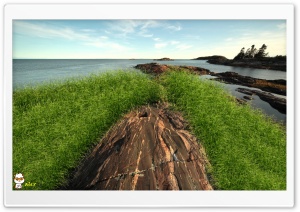 z077 4K UHD Wallpaper for Widescreen and UltraWide Desktop, UltraHD TV, Smartphone, Tablet