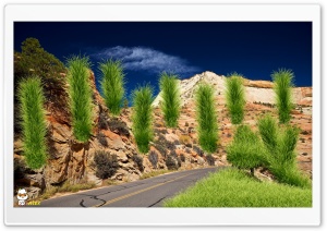 z079 4K UHD Wallpaper for Widescreen and UltraWide Desktop, UltraHD TV, Smartphone, Tablet