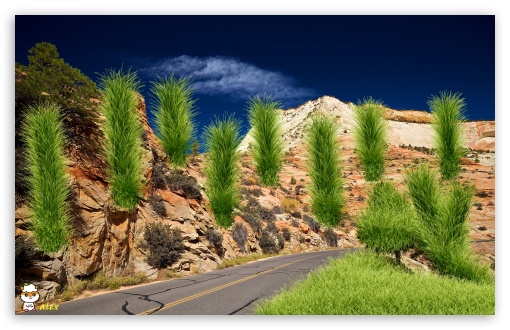 z079 UltraHD Wallpaper for Widescreen 16:10 ;