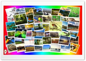 z097 4K UHD Wallpaper for Widescreen and UltraWide Desktop, UltraHD TV, Smartphone, Tablet