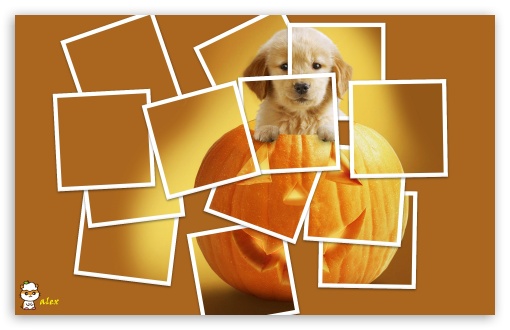 z114 UltraHD Wallpaper for Widescreen 16:10 ;