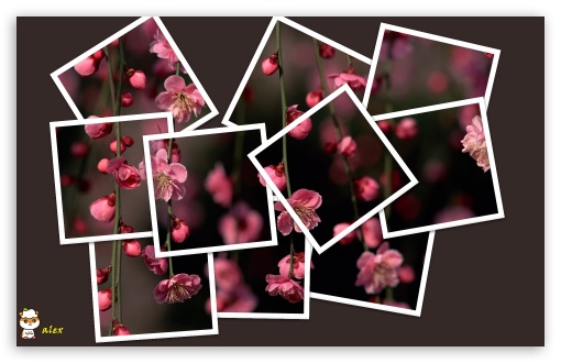 z115 UltraHD Wallpaper for Widescreen 16:10 ;