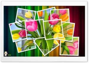 z130 4K UHD Wallpaper for Widescreen and UltraWide Desktop, UltraHD TV, Smartphone, Tablet