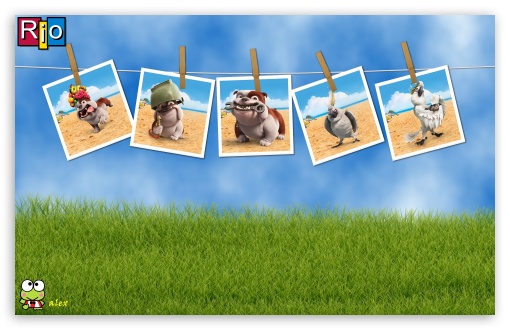 z153 UltraHD Wallpaper for Widescreen 16:10 ;