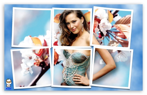 z195 UltraHD Wallpaper for Widescreen 16:10 ;