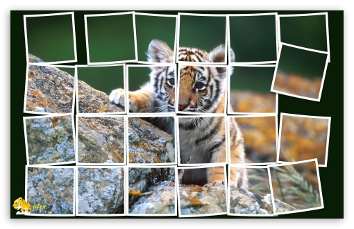 z422 UltraHD Wallpaper for Widescreen 16:10 ;