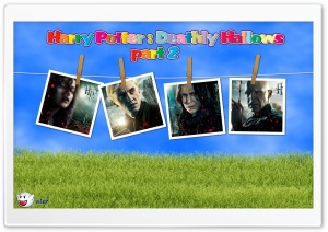 z488 4K UHD Wallpaper for Widescreen and UltraWide Desktop, UltraHD TV, Smartphone, Tablet