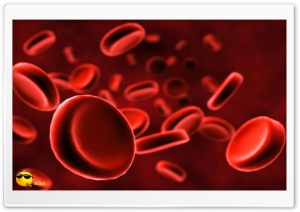 z527 4K UHD Wallpaper for Widescreen and UltraWide Desktop, UltraHD TV, Smartphone, Tablet