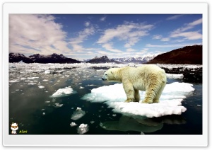 z528 4K UHD Wallpaper for Widescreen and UltraWide Desktop, UltraHD TV, Smartphone, Tablet