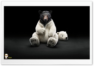 z529 4K UHD Wallpaper for Widescreen and UltraWide Desktop, UltraHD TV, Smartphone, Tablet