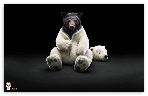 z529 UltraHD Wallpaper for Widescreen 16:10 ;