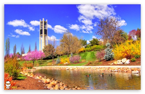 z535 UltraHD Wallpaper for Widescreen 16:10 ;