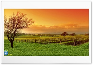 z629 4K UHD Wallpaper for Widescreen and UltraWide Desktop, UltraHD TV, Smartphone, Tablet