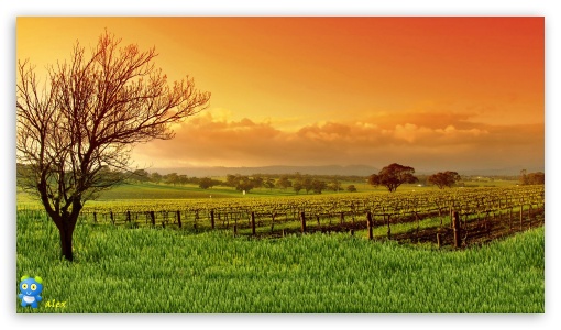 z629 UltraHD Wallpaper for HD 16:9 ;