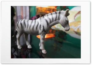 Zebra Ultra HD Wallpaper for 4K UHD Widescreen desktop, tablet & smartphone