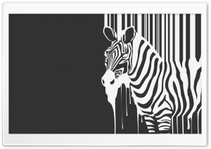 Zebra Melting Ultra HD Wallpaper for 4K UHD Widescreen desktop, tablet & smartphone