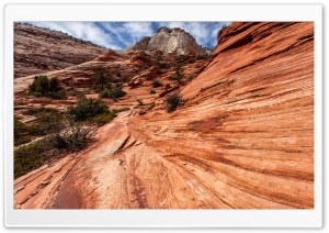 Zion National Park, Utah Ultra HD Wallpaper for 4K UHD Widescreen desktop, tablet & smartphone