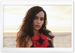 Zoe Kravitz, Photo Shoot, Celebrity, Actress, Famous, Portrait, Red Flower, Aesthetic Ultra HD Wallpaper for 4K UHD Widescreen Desktop, Lockscreen, Screensaver, TV, Tablet, Smartphone