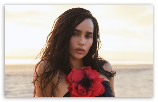 Zoe Kravitz, Photo Shoot, Celebrity, Actress, Famous, Portrait, Red Flower, Aesthetic UltraHD Wallpaper for HD 16:9 ; UltraWide 21:9 24:10 ; Widescreen 16:10 5:3 ; Fullscreen 4:3 5:4 3:2 ; Tablet 1:1 ; Mobile 9:16 9:19.5 9:20 10:16 2:3 3:5 3:4 ;